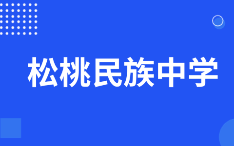 贵州省铜仁市松桃民族中学2025年科技特长生招生简章